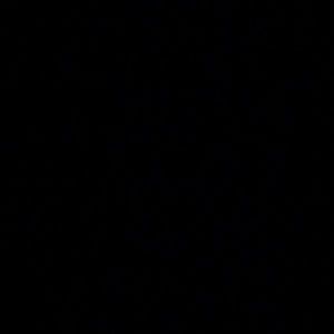 Meet your Posher, Zam